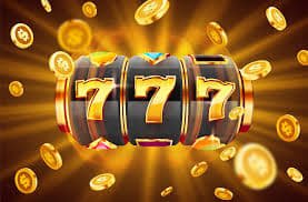 pgw444